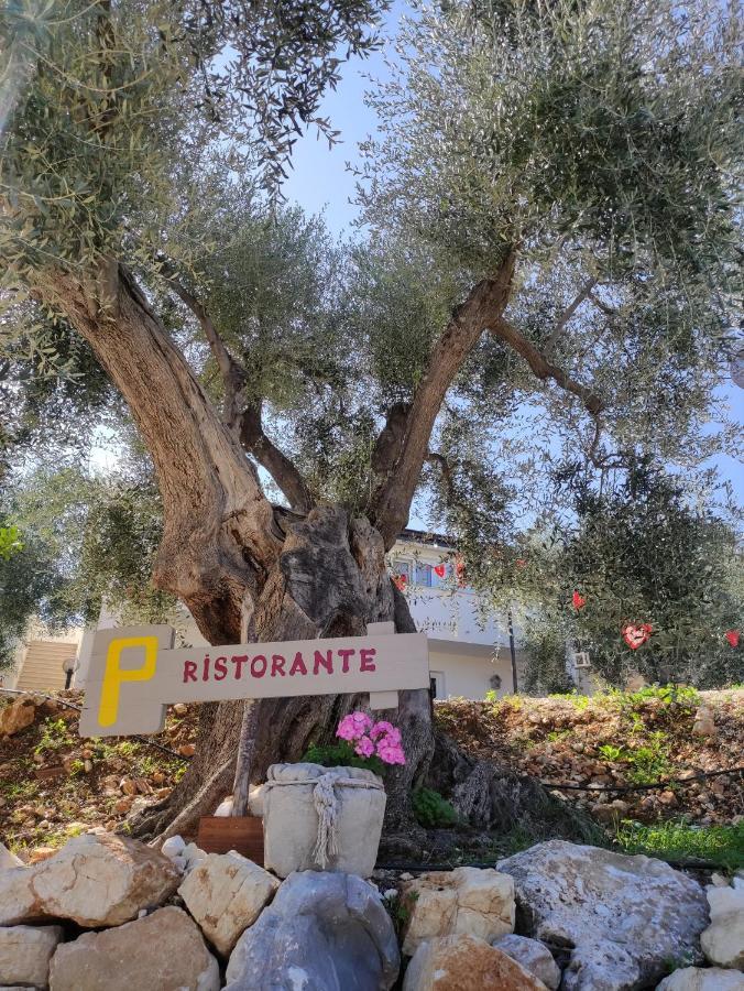 Agriturismo Passione Natura Vieste Eksteriør billede
