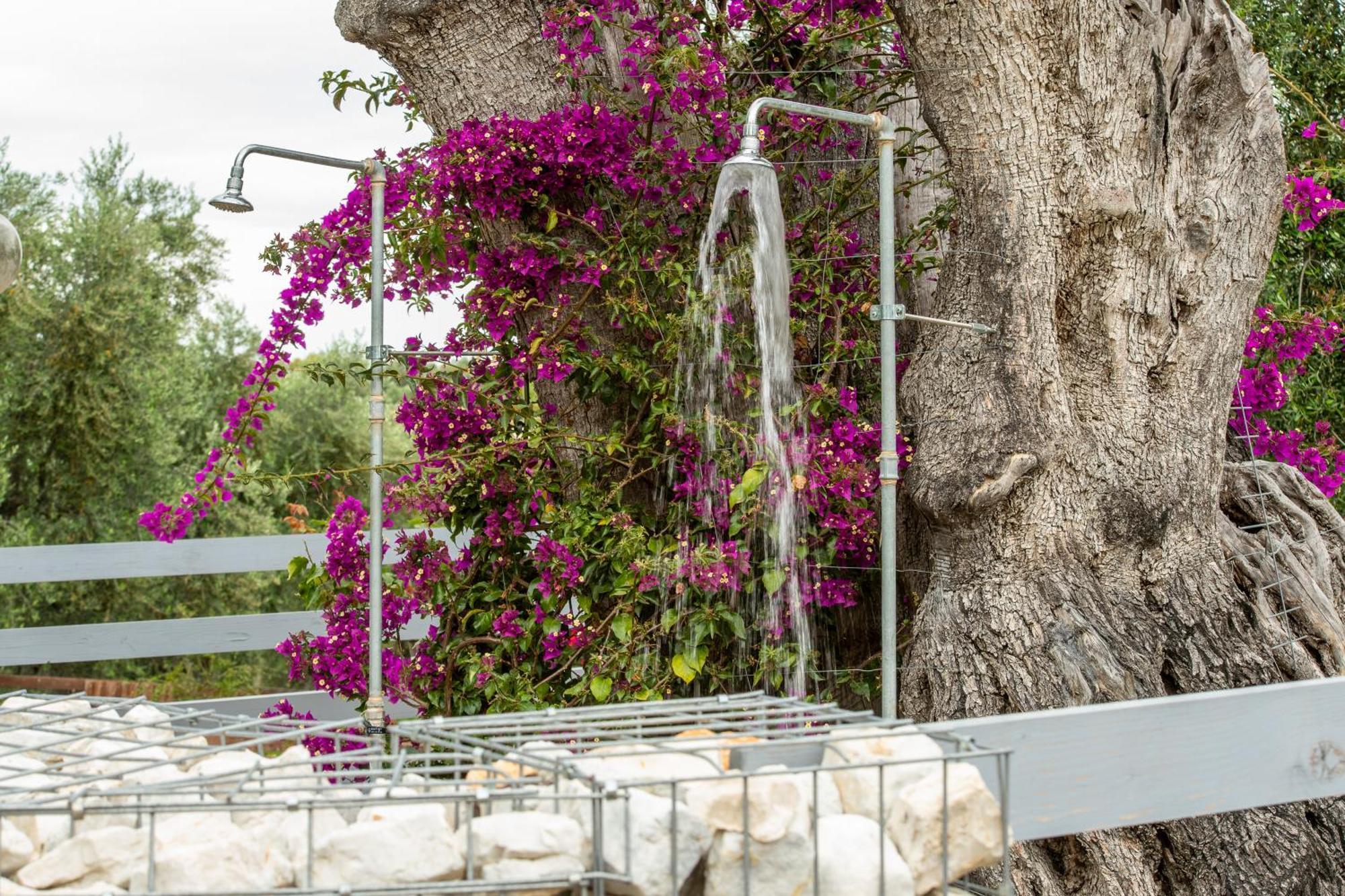Agriturismo Passione Natura Vieste Eksteriør billede