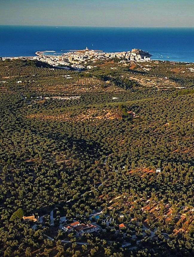 Agriturismo Passione Natura Vieste Eksteriør billede